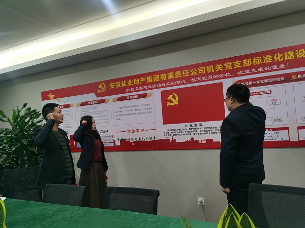 安徽鹽業(yè)地產(chǎn)集團(tuán)機(jī)關(guān)第一黨支部開展“佩黨徽、誦誓詞、贈(zèng)黨章、上黨課”黨員教育活動(dòng)