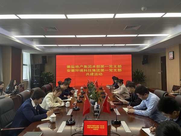 本部第一黨支部赴安徽環境科技集團開展黨建共建活動